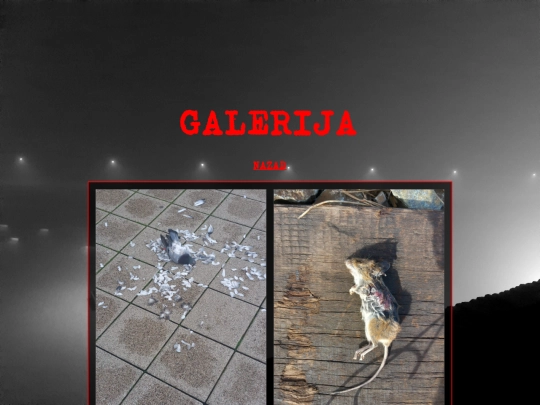 tdgalerija screenshot