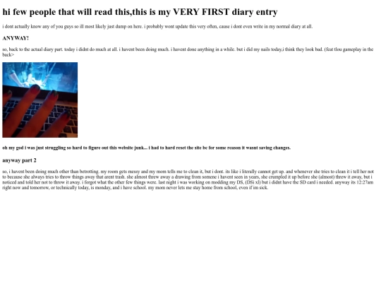 wybues/diary entries/entry1 screenshot