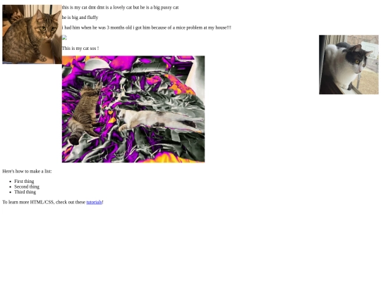 Petz screenshot