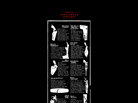 appendix screenshot