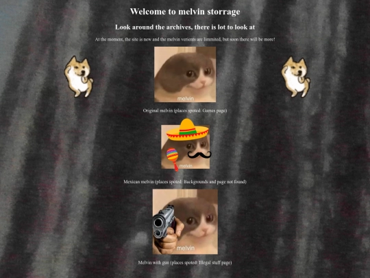 melvin_storrage screenshot