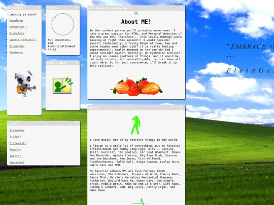 AboutTheWebmaster screenshot