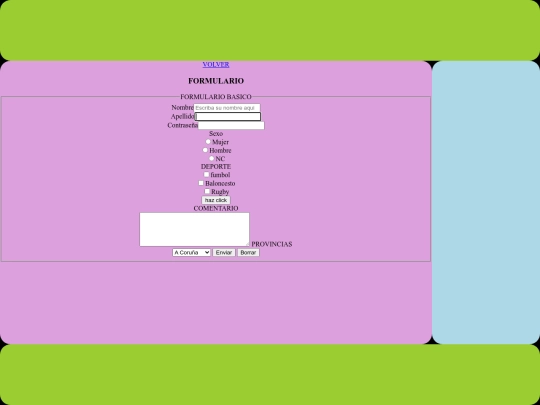 pag/formulario screenshot