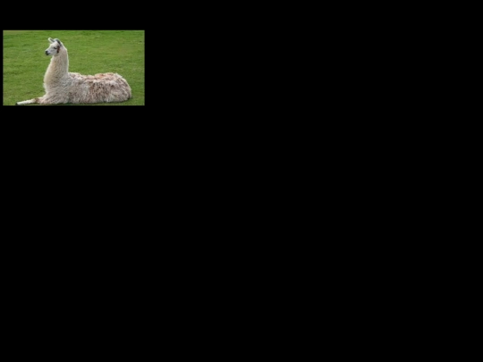 imgenes screenshot