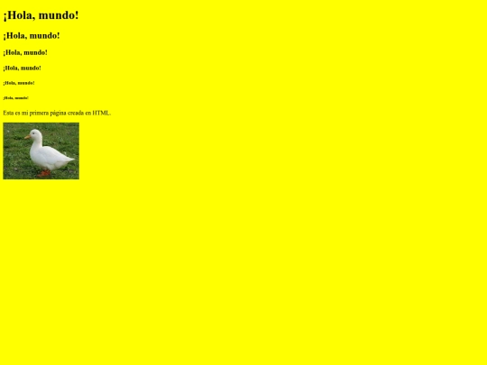 patricio screenshot