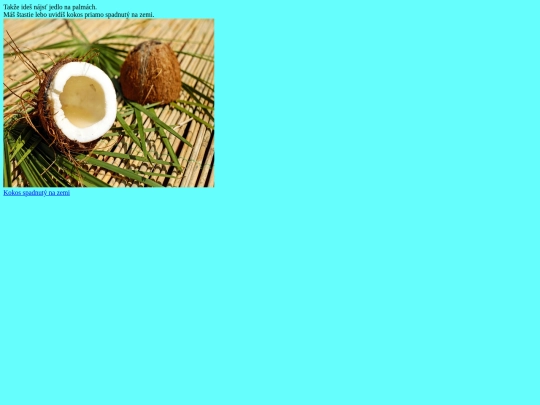 1 screenshot