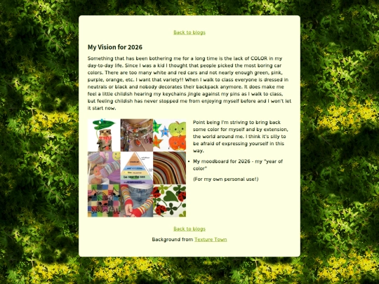 blogs/2026vision screenshot