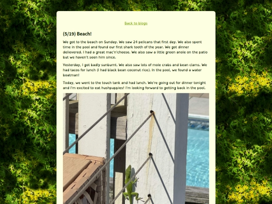 blogs/5-19 screenshot