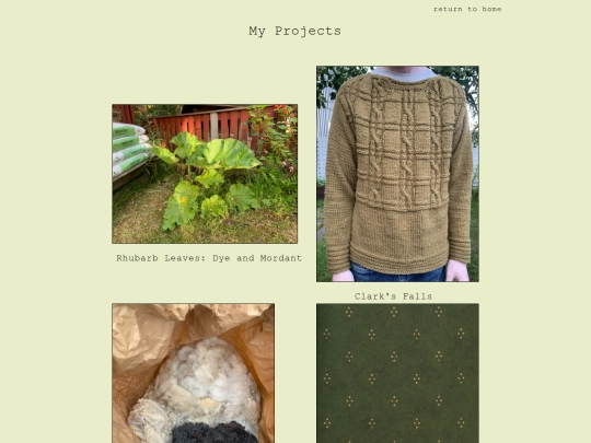 projects screenshot