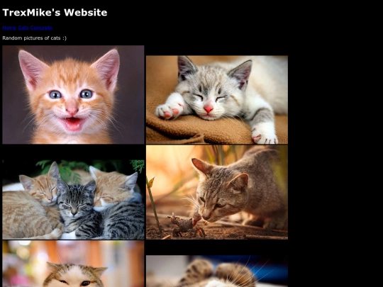 cats screenshot