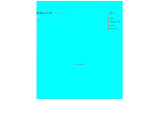 TIC4/index4 screenshot