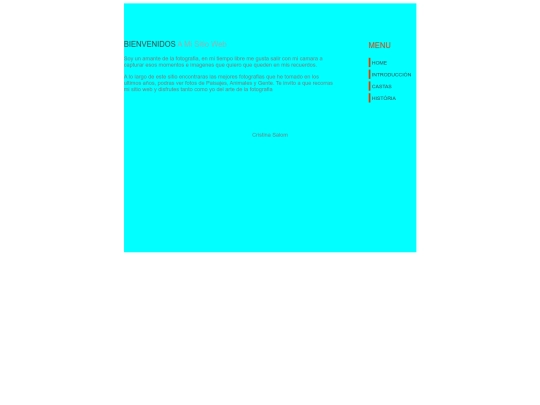 TIC4/opcion1 screenshot