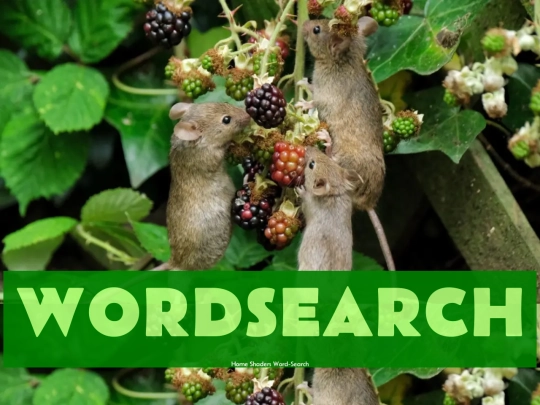 blog/mousepuzzle screenshot