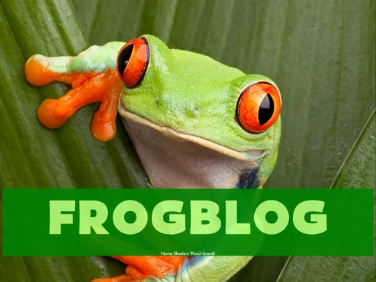 blog/template screenshot