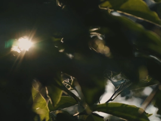 test2 screenshot