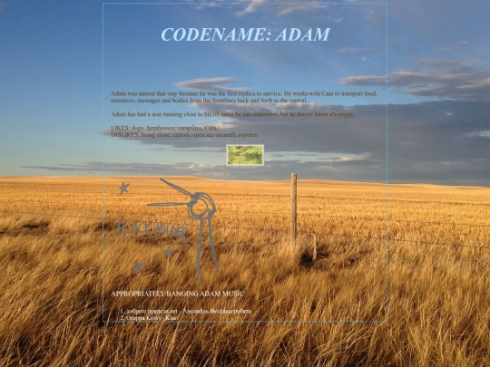 APOCALYPSE/apocalypse/REVIVAL/agent_file.ADAM screenshot