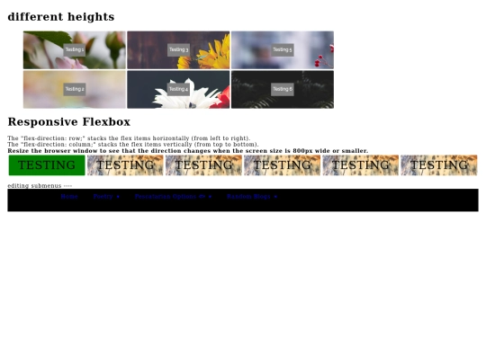 blank screenshot