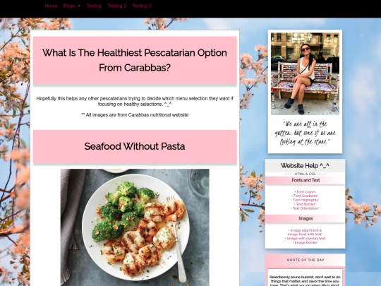 blog/carabbas/carabbas screenshot