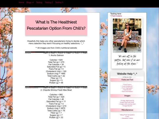 blog/chilis/chilis screenshot