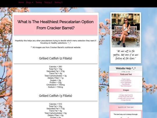 blog/crackerbarrel/crackerbarrel screenshot