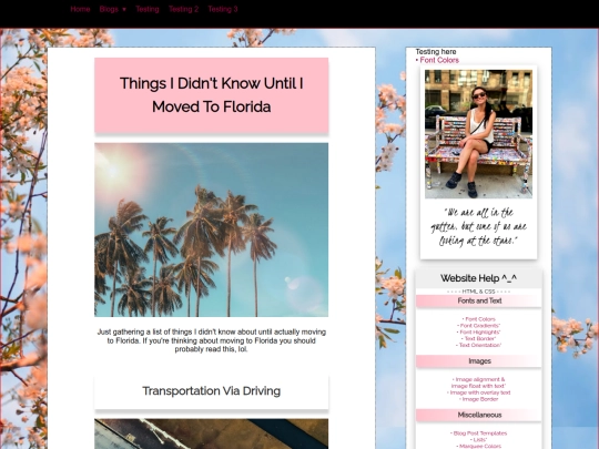 blog/florida/movingtoflorida screenshot