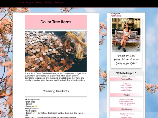 blog/free-and-deals/dollar-tree-items screenshot