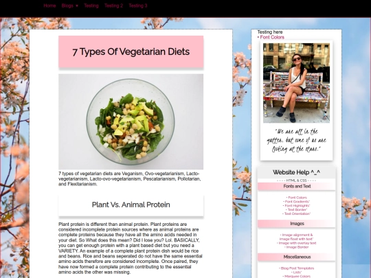 blog/health/types-of-vegetarian-diets screenshot