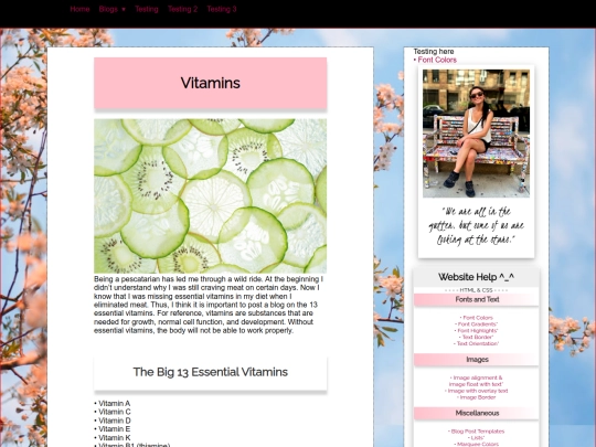 blog/health/vitamins screenshot