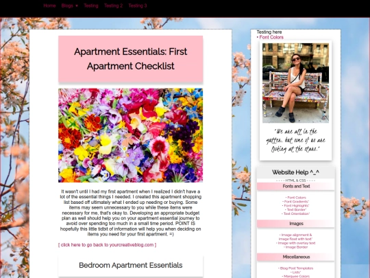 blog/housing/essentials screenshot