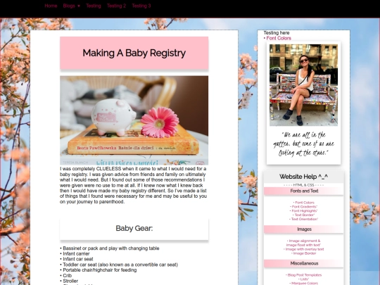 blog/parenting/babyregistry screenshot