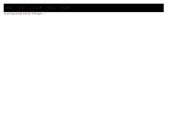 test/testnav2 screenshot