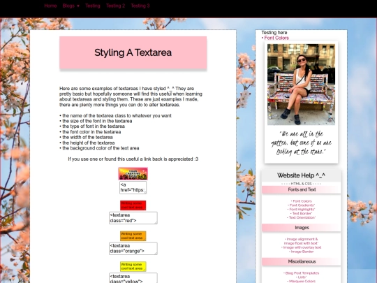 tut/html-css/textarea-styling screenshot