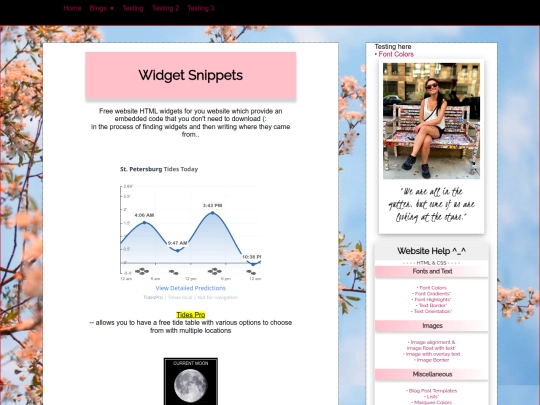 tut/snippets/widgets screenshot