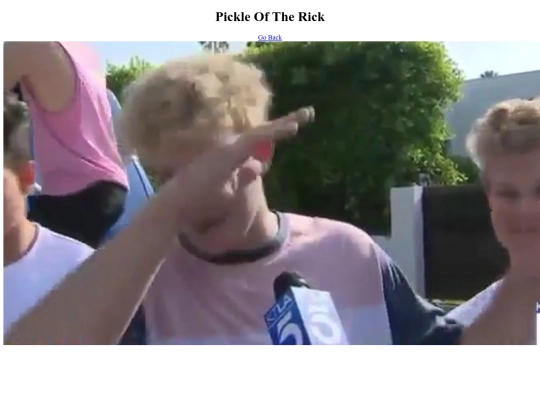 pickleoftherick screenshot