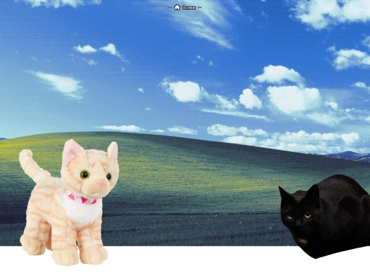 yay/misc/lewindowshasarrived screenshot