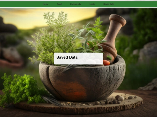 saved-data screenshot