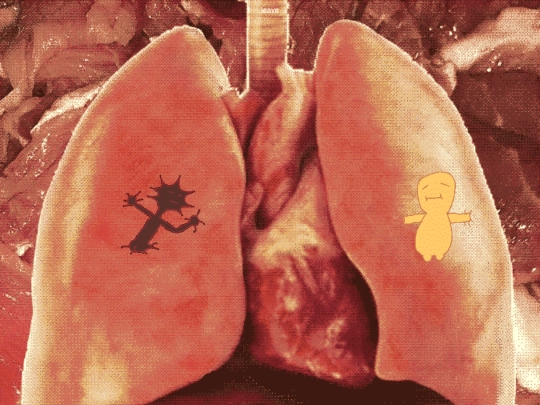 sleepers-stomach screenshot