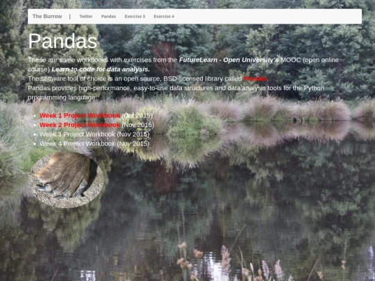 pandas/pandas screenshot