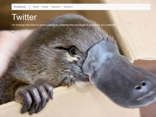 twitter/twitter screenshot
