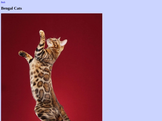 BengalCats screenshot