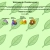The web site of chesterverse avatar