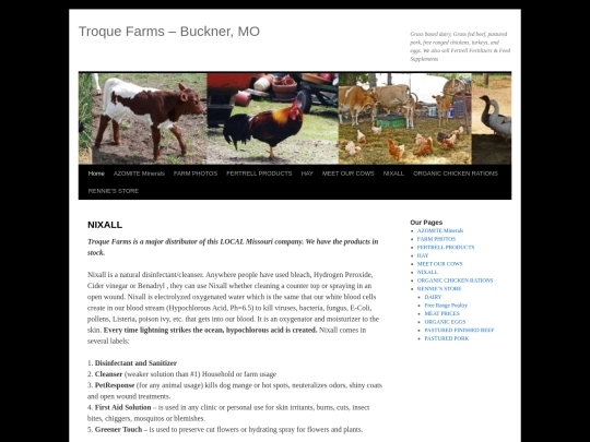 nixall screenshot