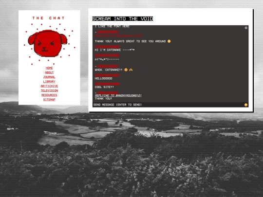 chat screenshot