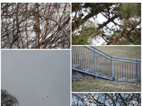 photographs/photography screenshot