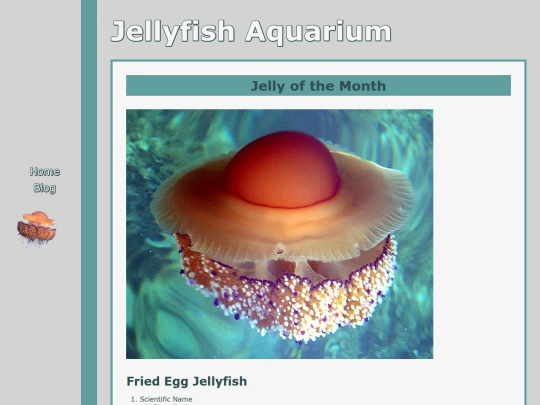 fellyjish screenshot
