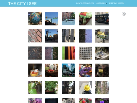 view-all screenshot