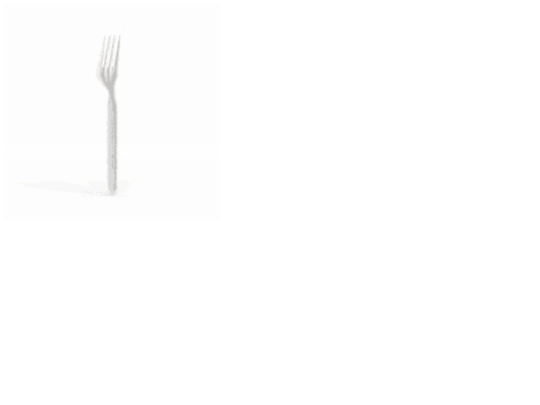 fork screenshot