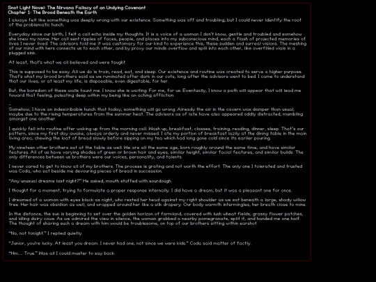 subpages/journal/writing/lightnovel/chapter1_nirvanafallacy screenshot