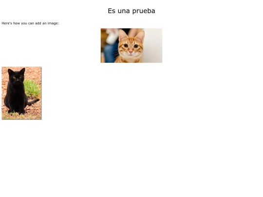 prueba4A_andrea screenshot