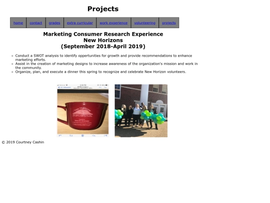 projects screenshot